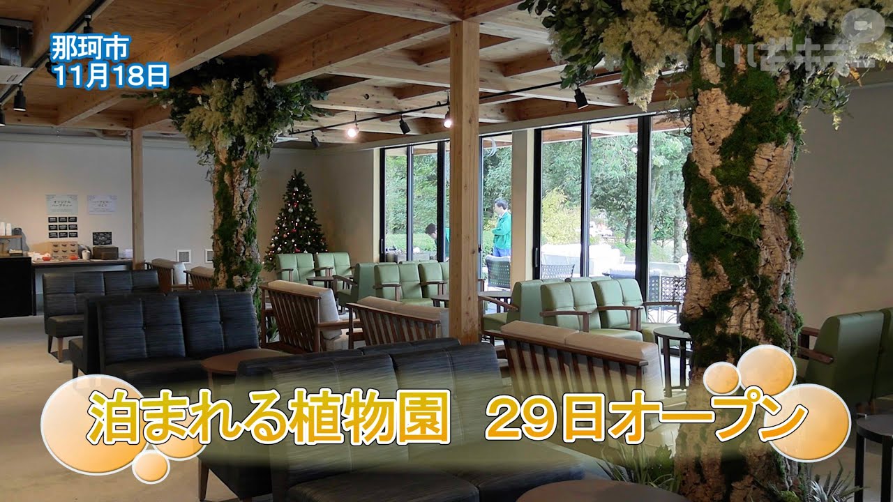 泊まれる植物園　29日オープン【いばキラニュース】R7.11.19