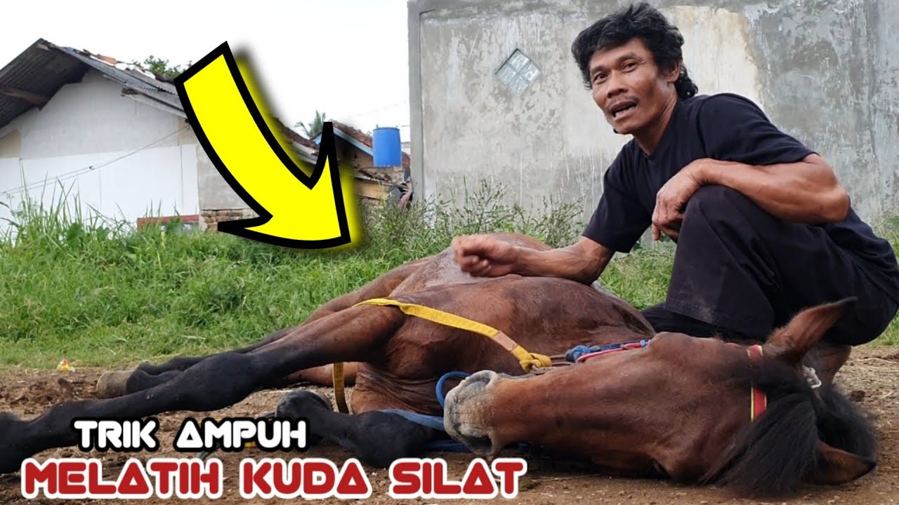 Cara melatih kuda renggong silat