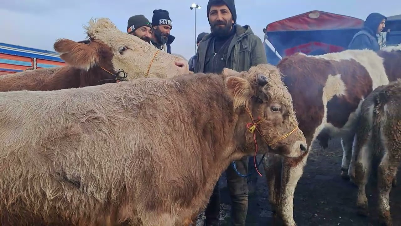 18.01.2025 iyi seyirler...