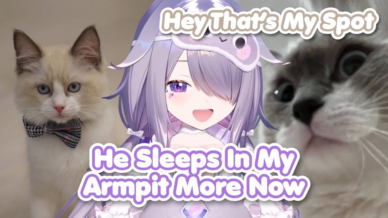John Cat Started Sleeping Next to Biboo After Getting Jealous of Cat Wick