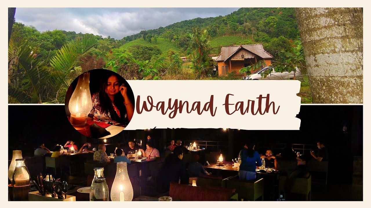 WAYNAD wild by CGH Earth,Nature's own backyard |luxury in Wild | Candlelight dinner at Rainforest 🌱