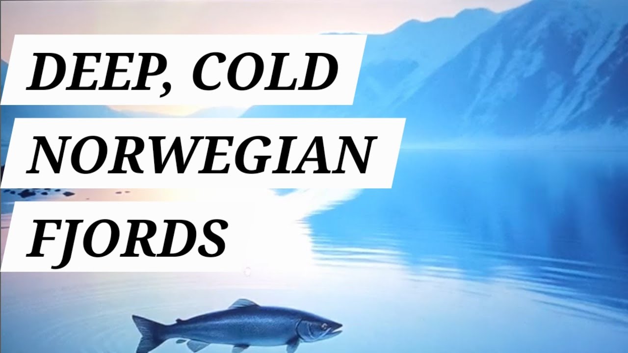 Norwegian Salmon