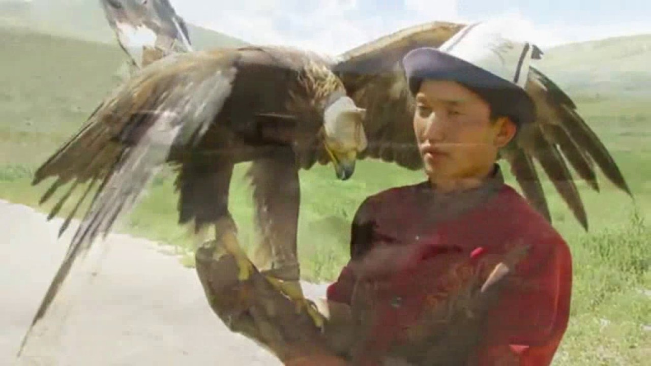 MCI Approved University Kyrgyzstan