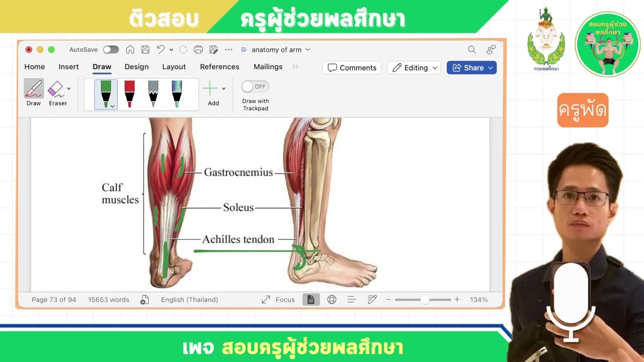 EP 16 Anatomy of lower