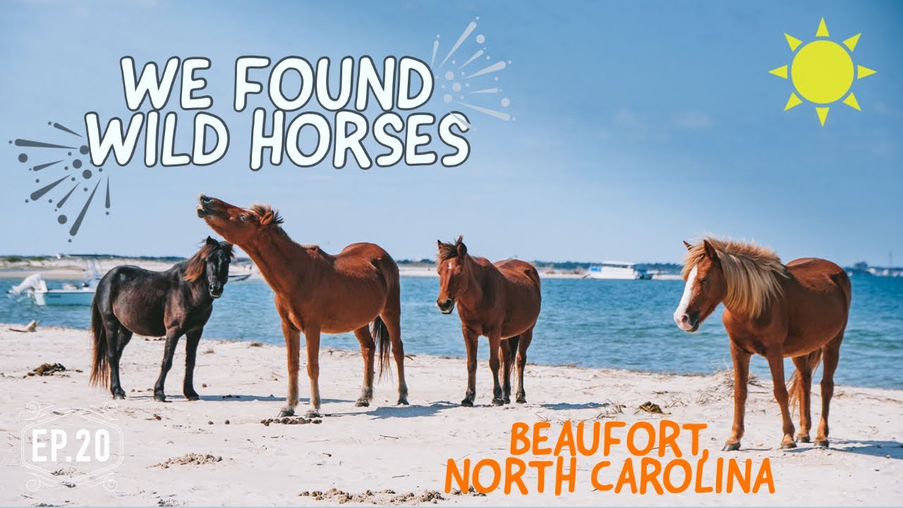 Just horsing around after a week at sea