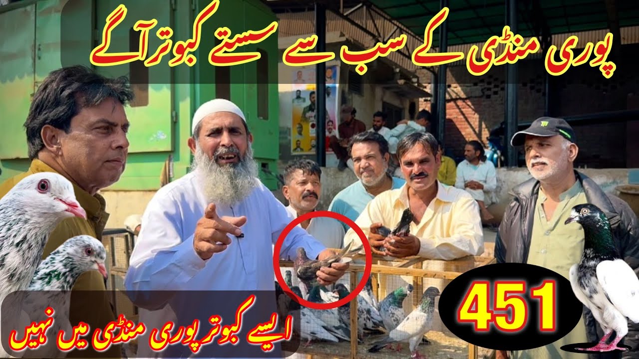 451) Lahore lari ada kabootar mandi || کبوتر منڈی || #amjadaliofficial