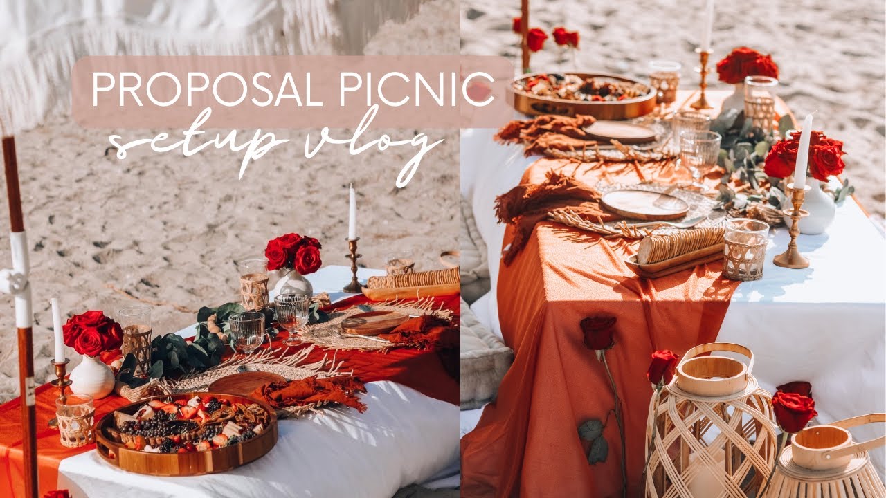 BEACH PICNIC PROPOSAL VLOG | setting up a luxury picnic