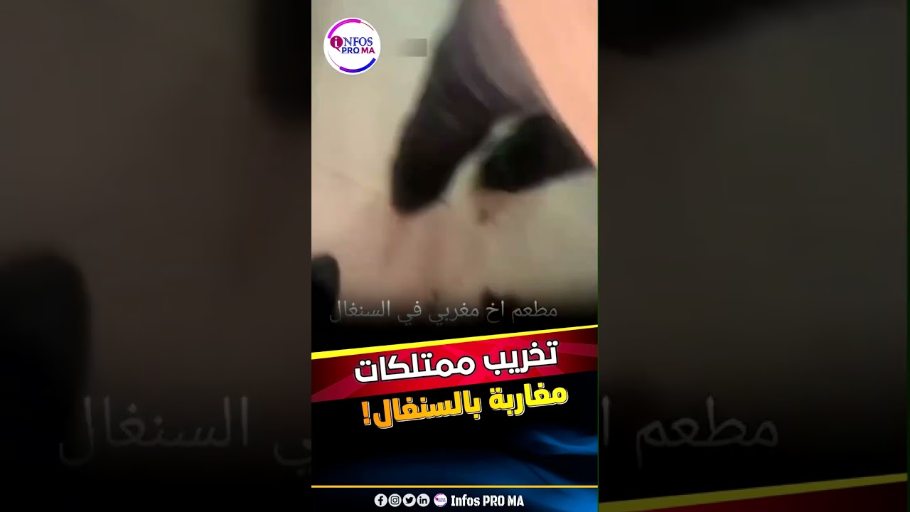 تخريب وتهديد مغاربةفي السنغال ياتون إلى المغرب ياكلون مالد وطاب وينكحون النساء ويتواصلون يتكاثرون