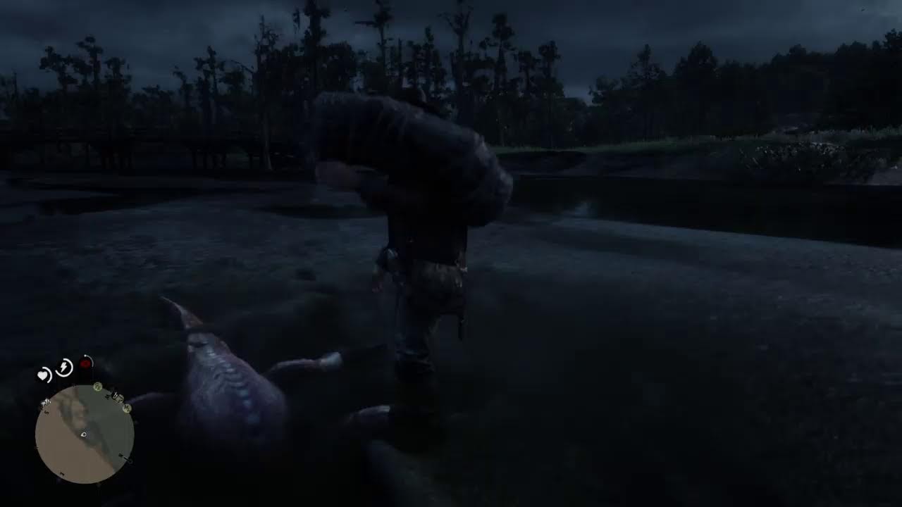 rdr2