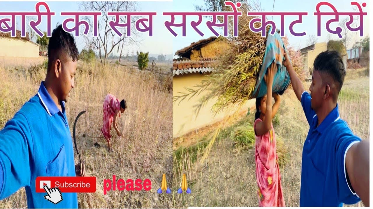 Sarson ke khet me ham dono ||  ये क्या हालत हो गई हमारी || mariyam family vlog 
