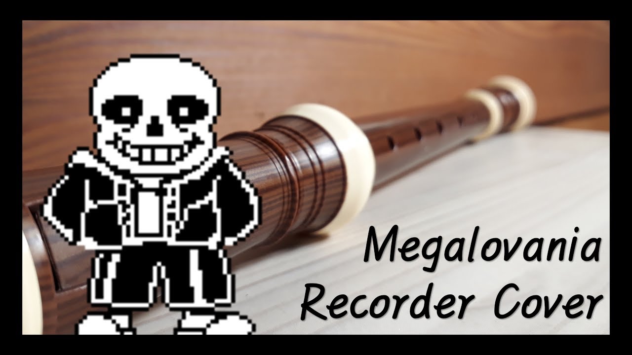 [RE코더] 언더테일(Undertale) - Megalovania Recorder Cover