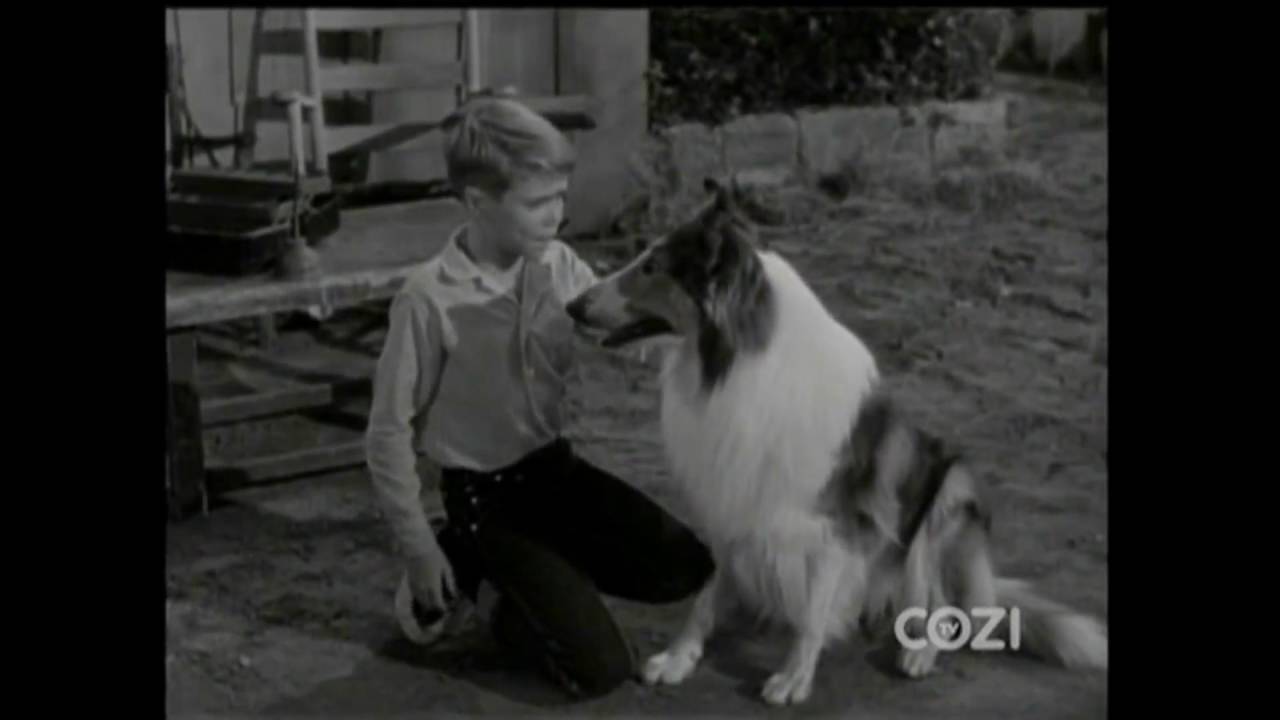Lassie - Episode #325 - 