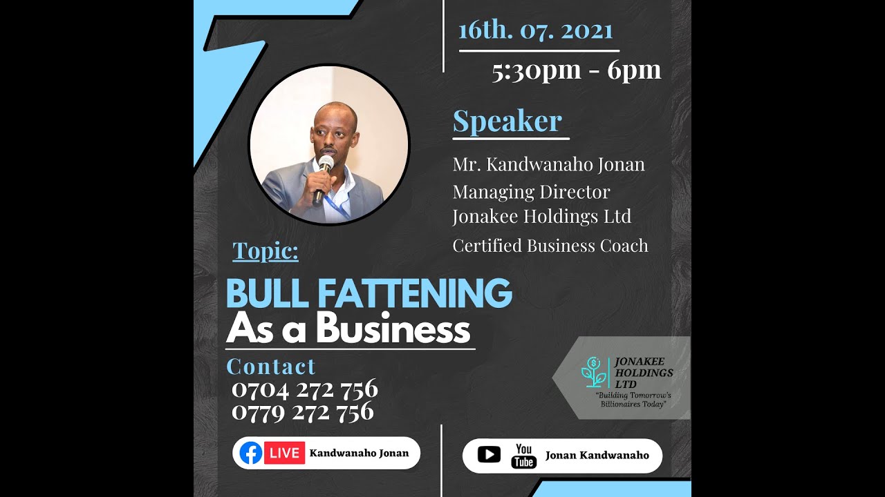 Bull Fattening As  A Business
