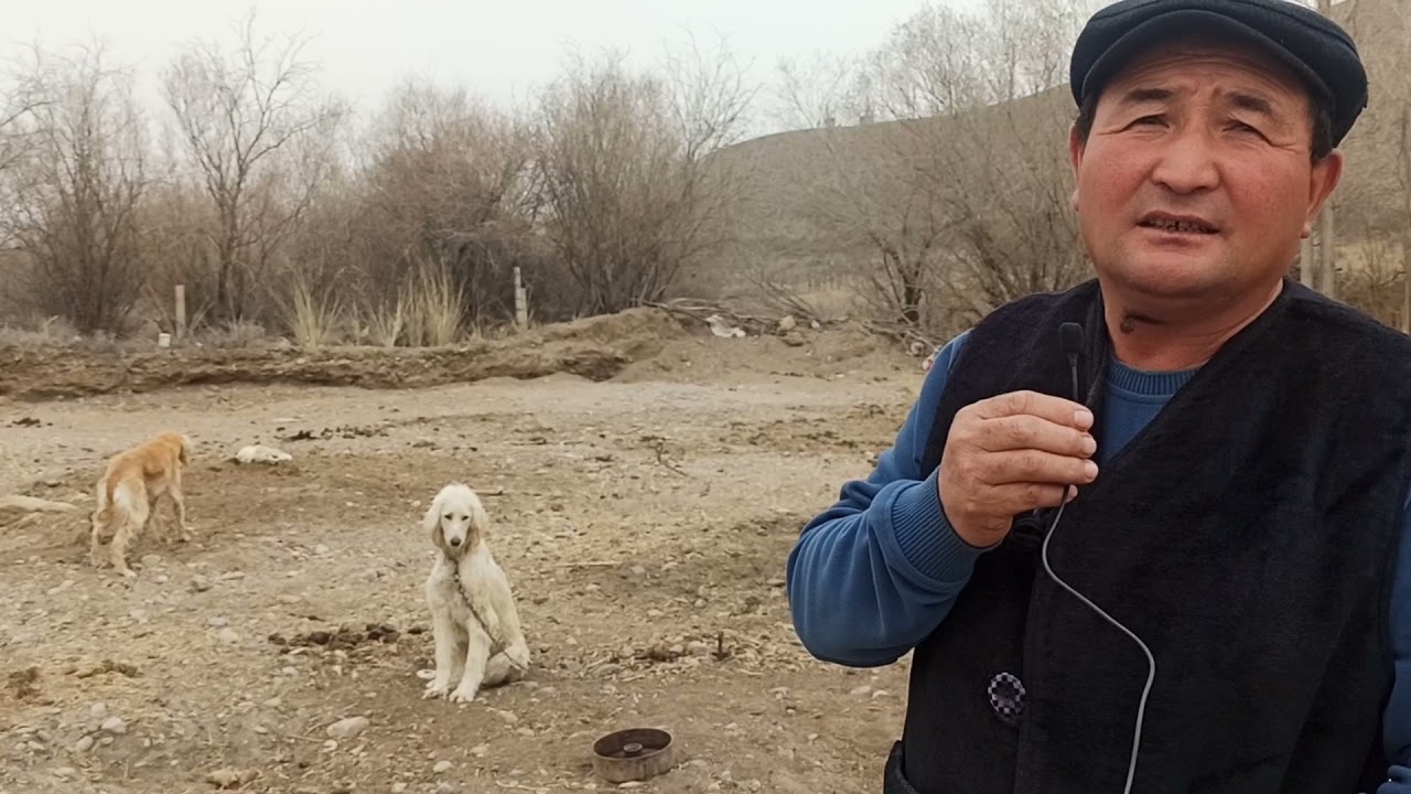 Кочкор район Чекилдек Айлы Тайганчы  Таштан байкебистин Кыргыз Тайганы