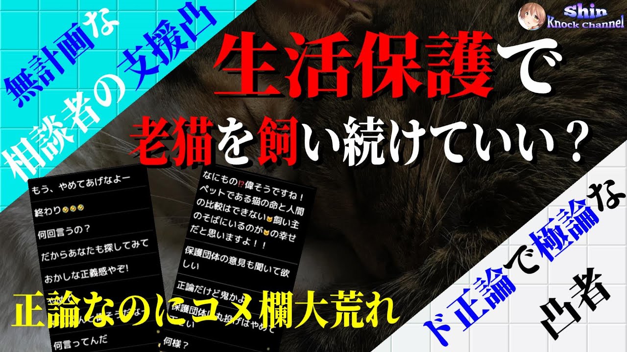 生活保護で飼い猫のエサと猫砂がないから支援して！相談者にド正論で物申す凸者のせいでなぜかコメ欄大荒れ！