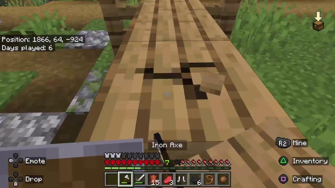 Hardcore Minecraft