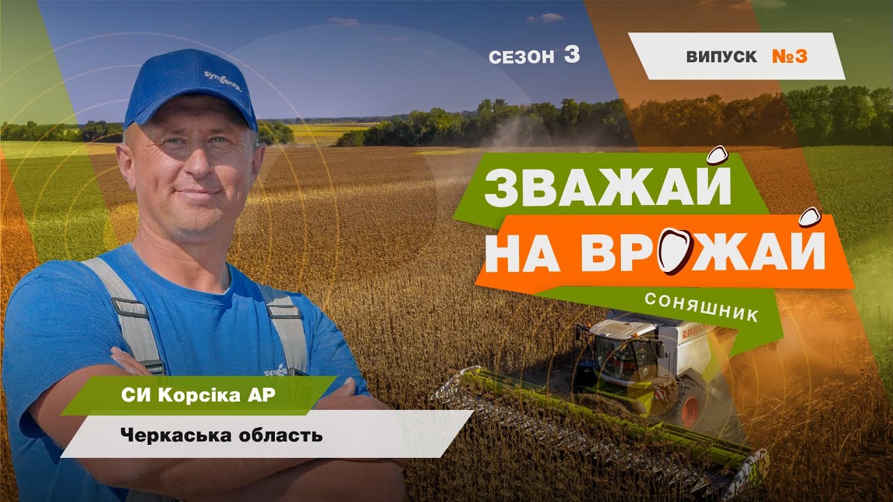 #Зважай_на_врожай. Збір урожаю гібрида соняшнику СИ Корсіка АР. Черкаська обл.🌻