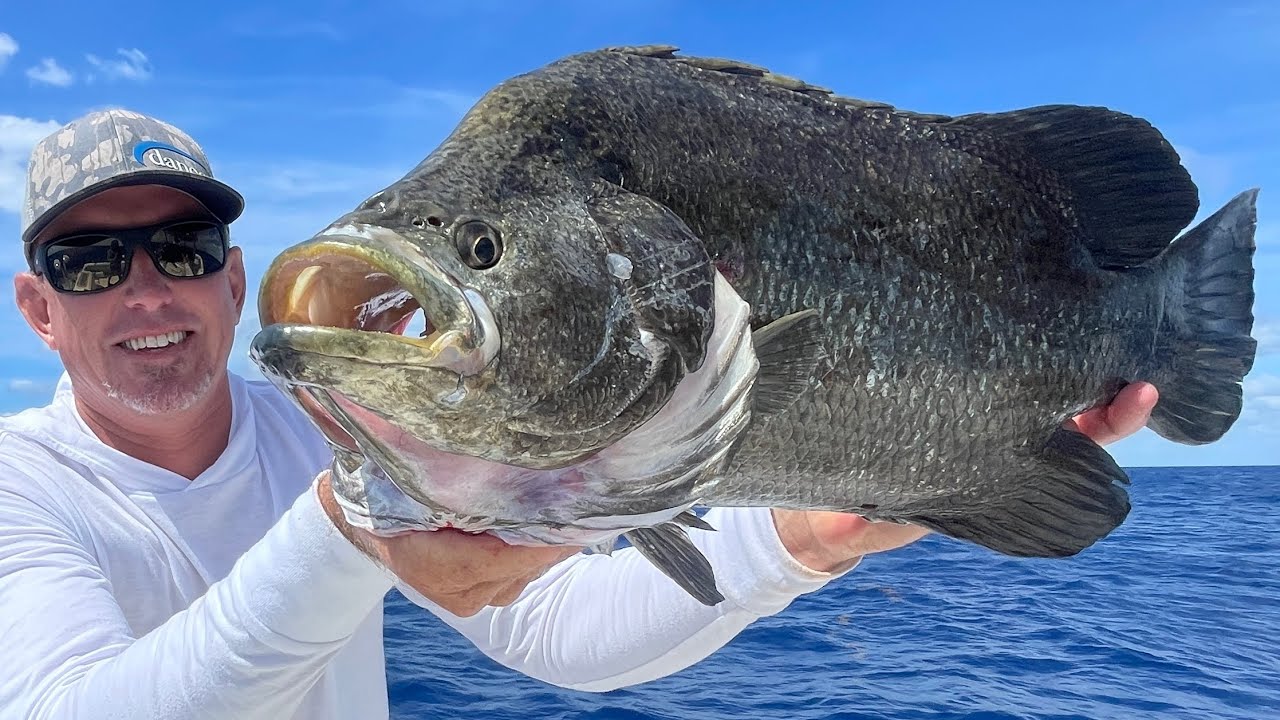 Giant Tripletail and Lobster Catch and Cook on a Beautiful Deserted Island