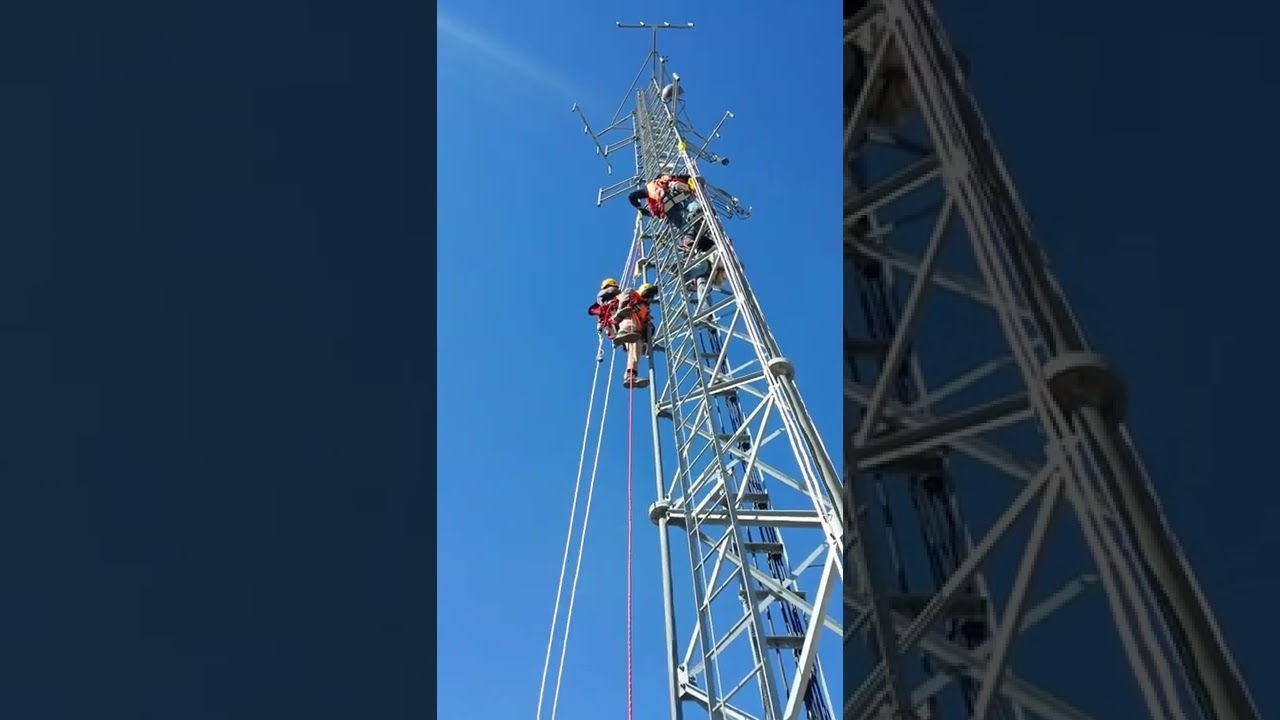 Tower Rescue: Thanks for not Dropping me Big Dog!
