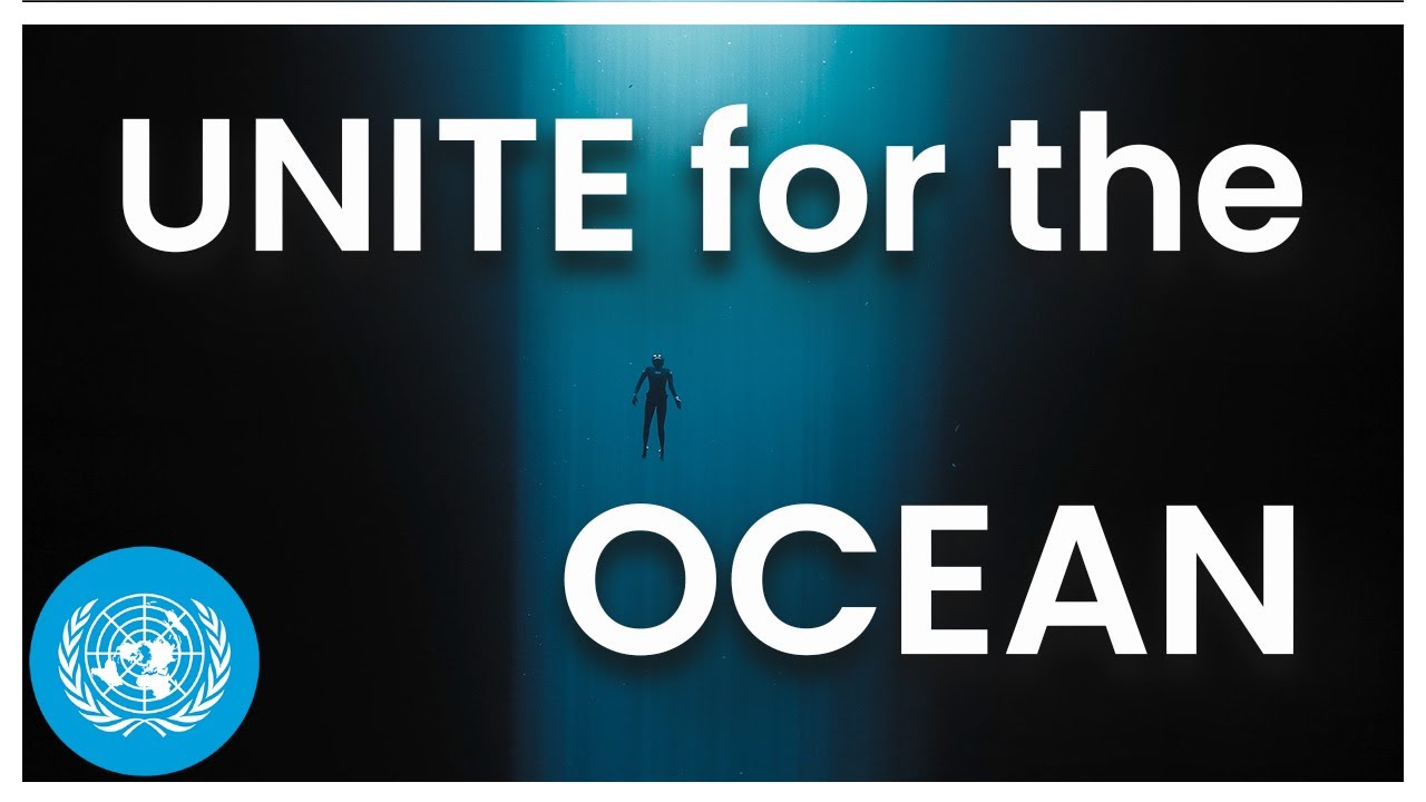Now Is the Time to Save Our Ocean | United Nations