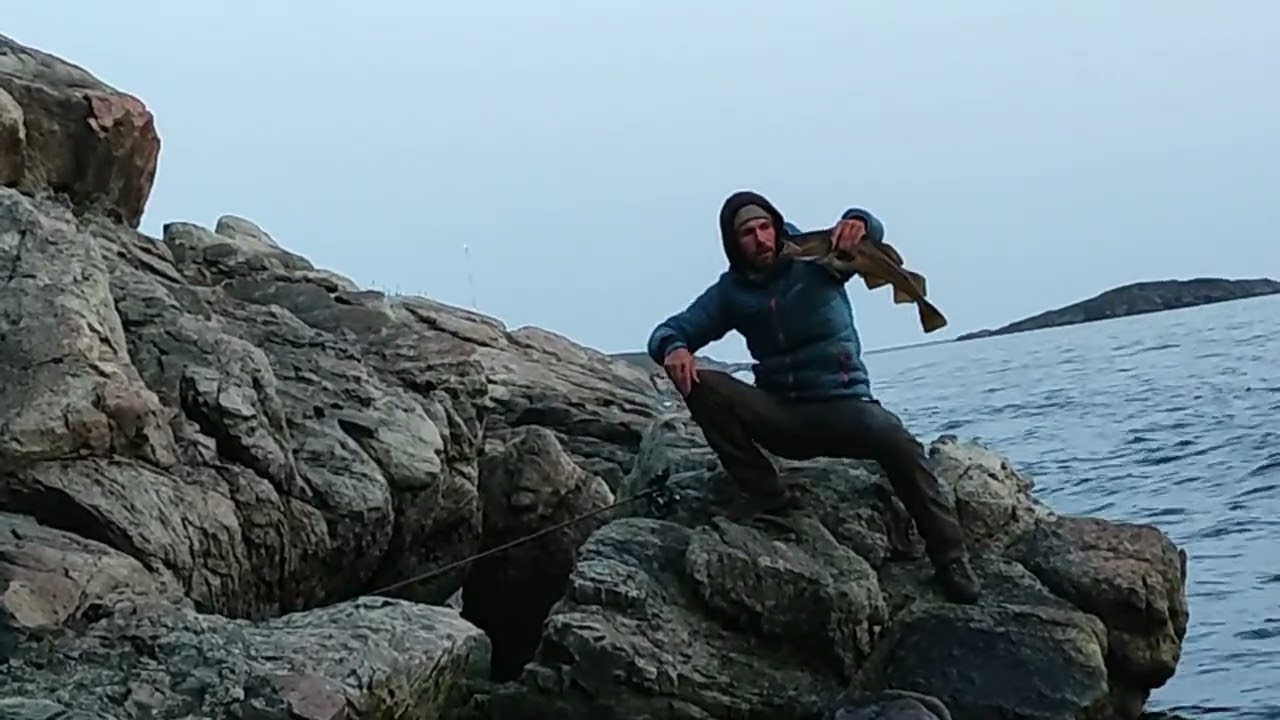 Greenland 2023 Fishing for atlantic cod non stop action