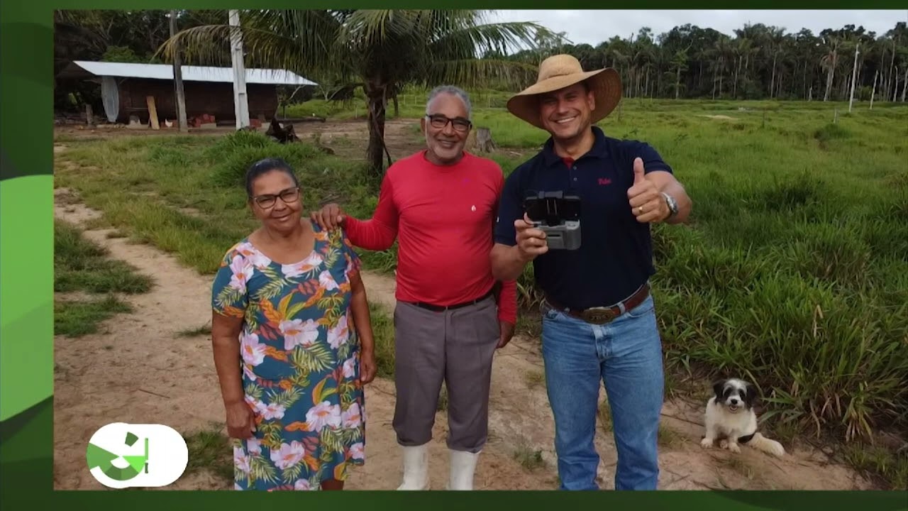 RONDÔNIA: PECUARISTA PRODUZ NOVILHADA 100% JOVEM EM 20 HECTARES, CONFIRA
