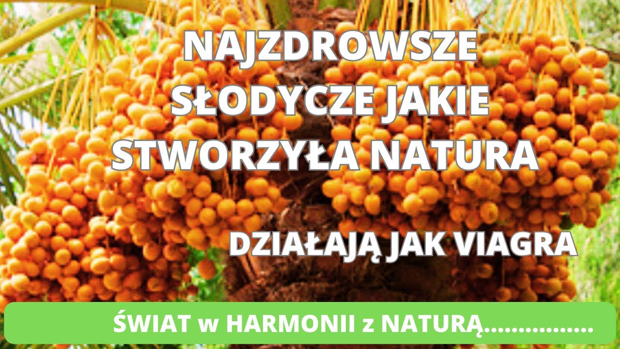 Najzdrowsze słodycze, które stworzyła natura. Działają jak viagra. Skarbnica witamin. Nasz świat.