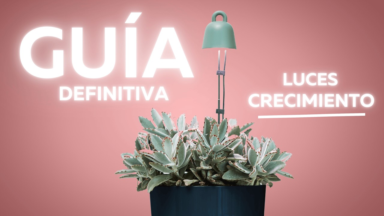 🌱 Luces de Crecimiento para Plantas 💡 GROW LIGHTS &iquest;Qu&eacute; son? (Gu&iacute;a Completa) - Pl&aacute;ntate