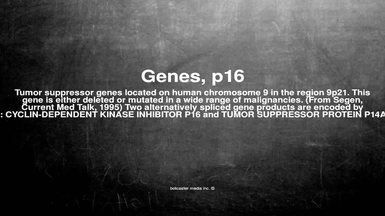 Medical vocabulary: What does Genes, p16 mean