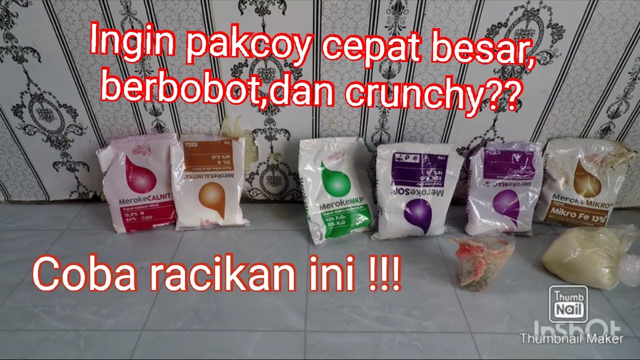 Meracik AB mix sendiri nutrisi sayuran daun dan batang untuk tanaman pakcoy pekatan 0,5 liter