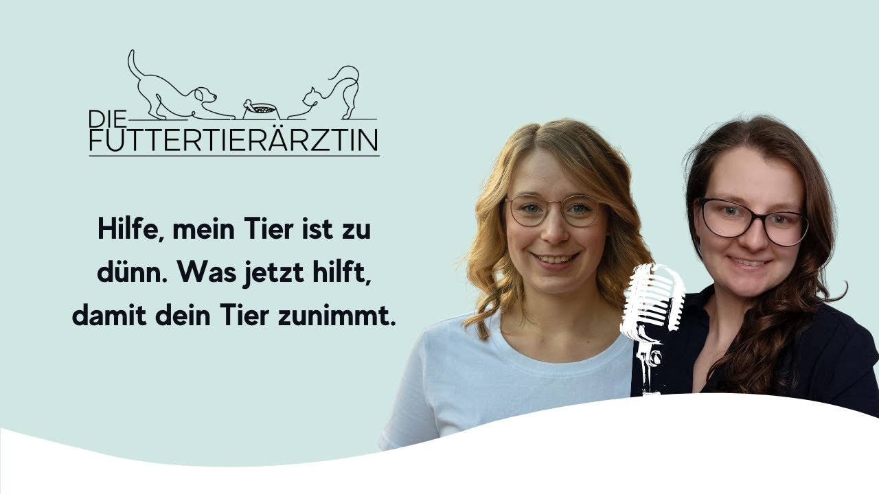 Hilfe, mein Tier ist zu dünn. Was jetzt hilft, damit dein Tier zunimmt.
