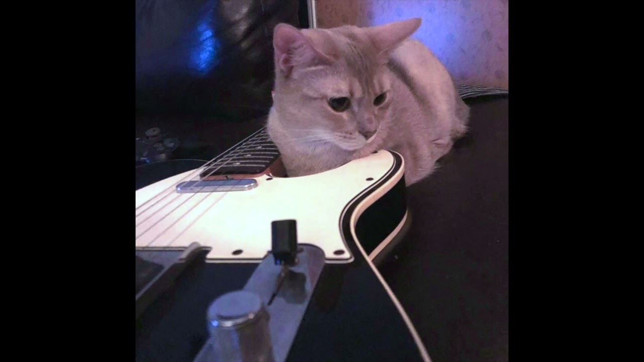 (FREE) hyperpop x indie rock guitar type beat 