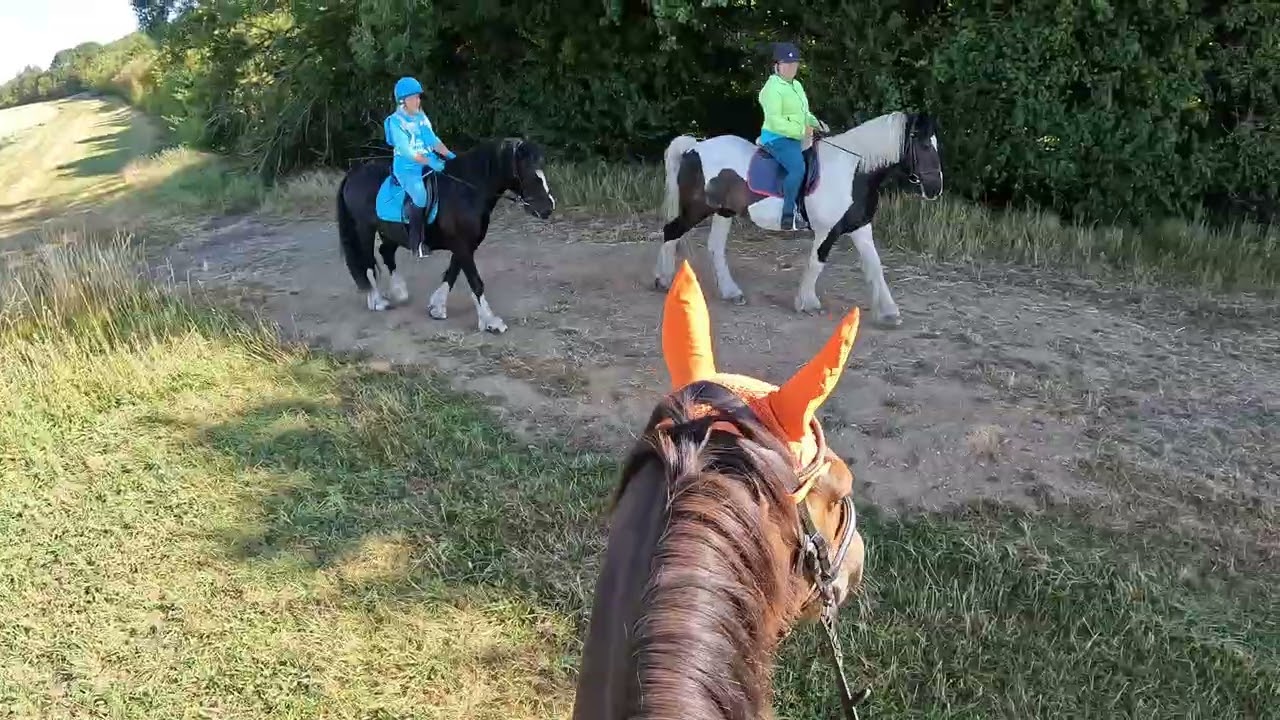 Sunday 17th August 2025 Hacking 