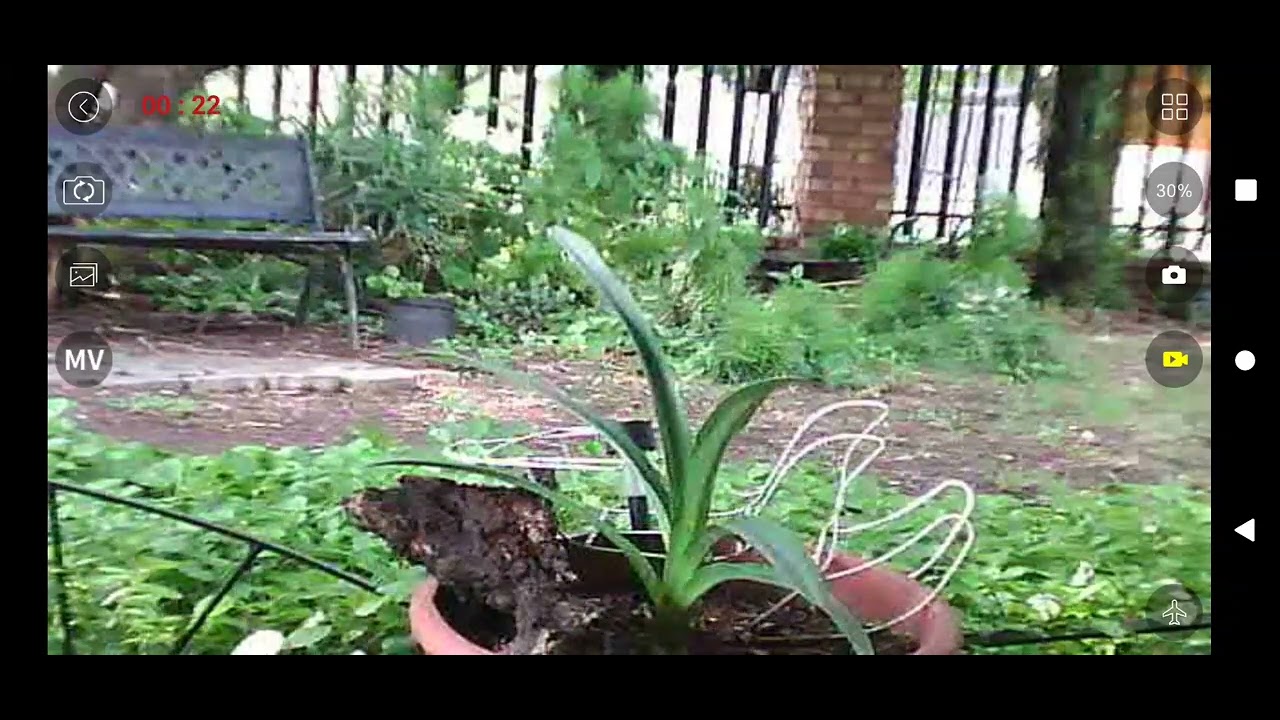E88 screen-20250113-153902.mp4 Beeld Kwaliteit