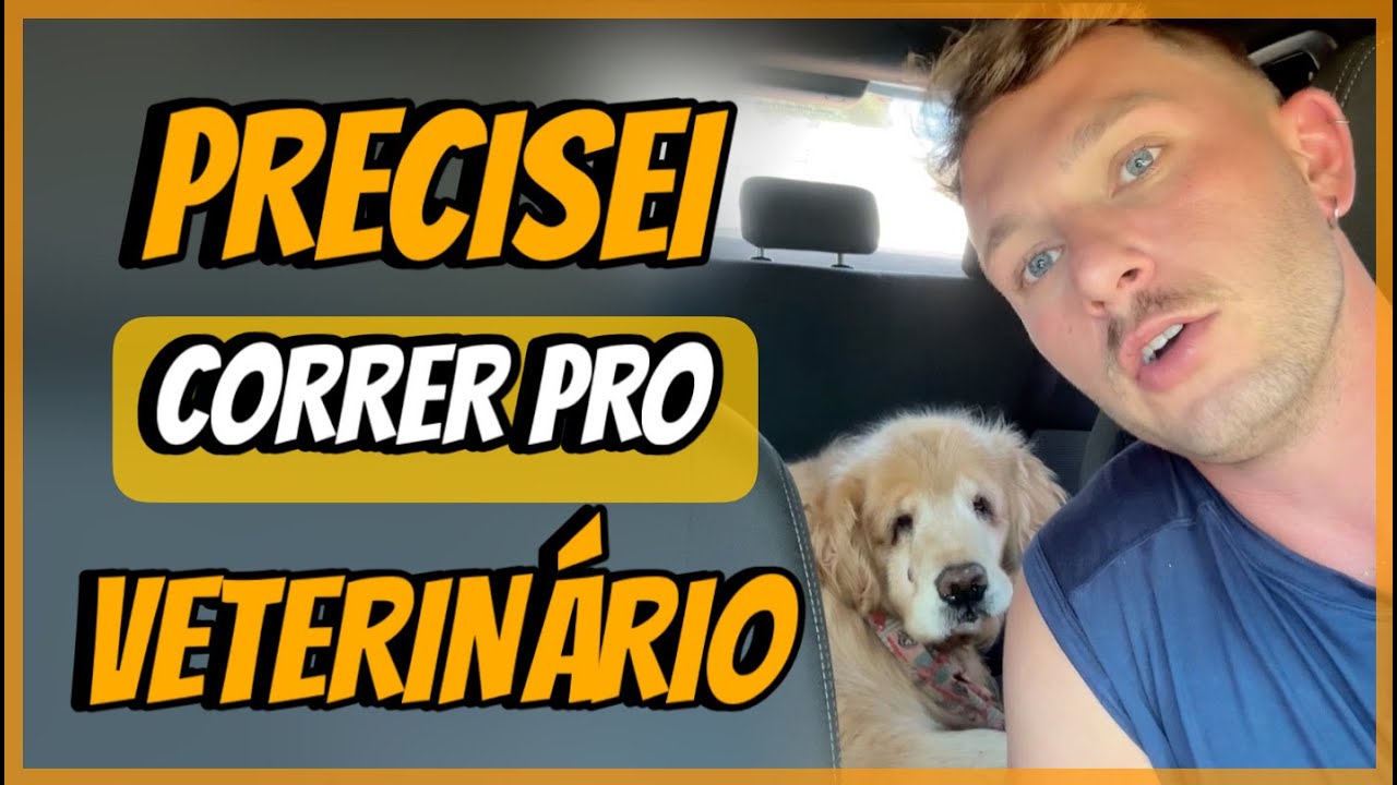 MINHA CACHORRA NÃO PARAVA DE TOSSIR... Tive que correr pro veterinário! | Henrique Buttler