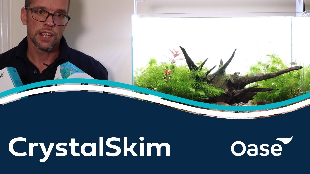 CrystalSkim surface skimmer - Aquarium essentials with George Farmer - OASE UK