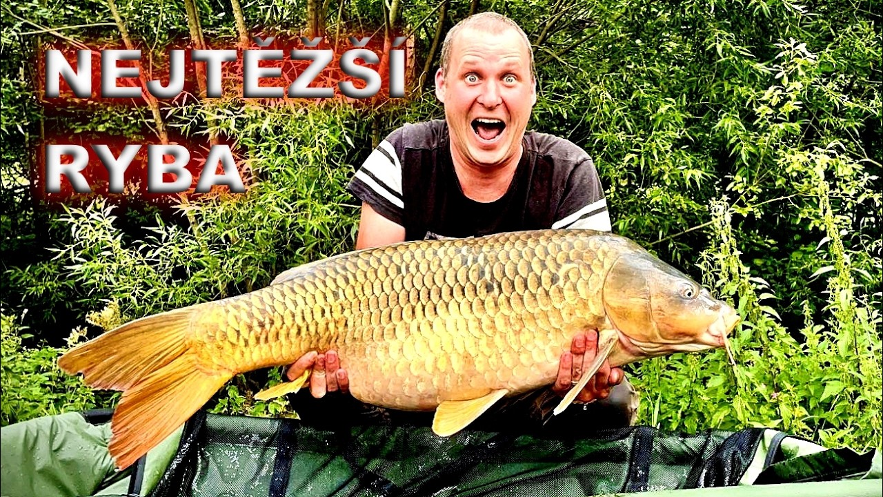 Carp Arts Cup rybářský závod #carp_arts #boilie #fishing