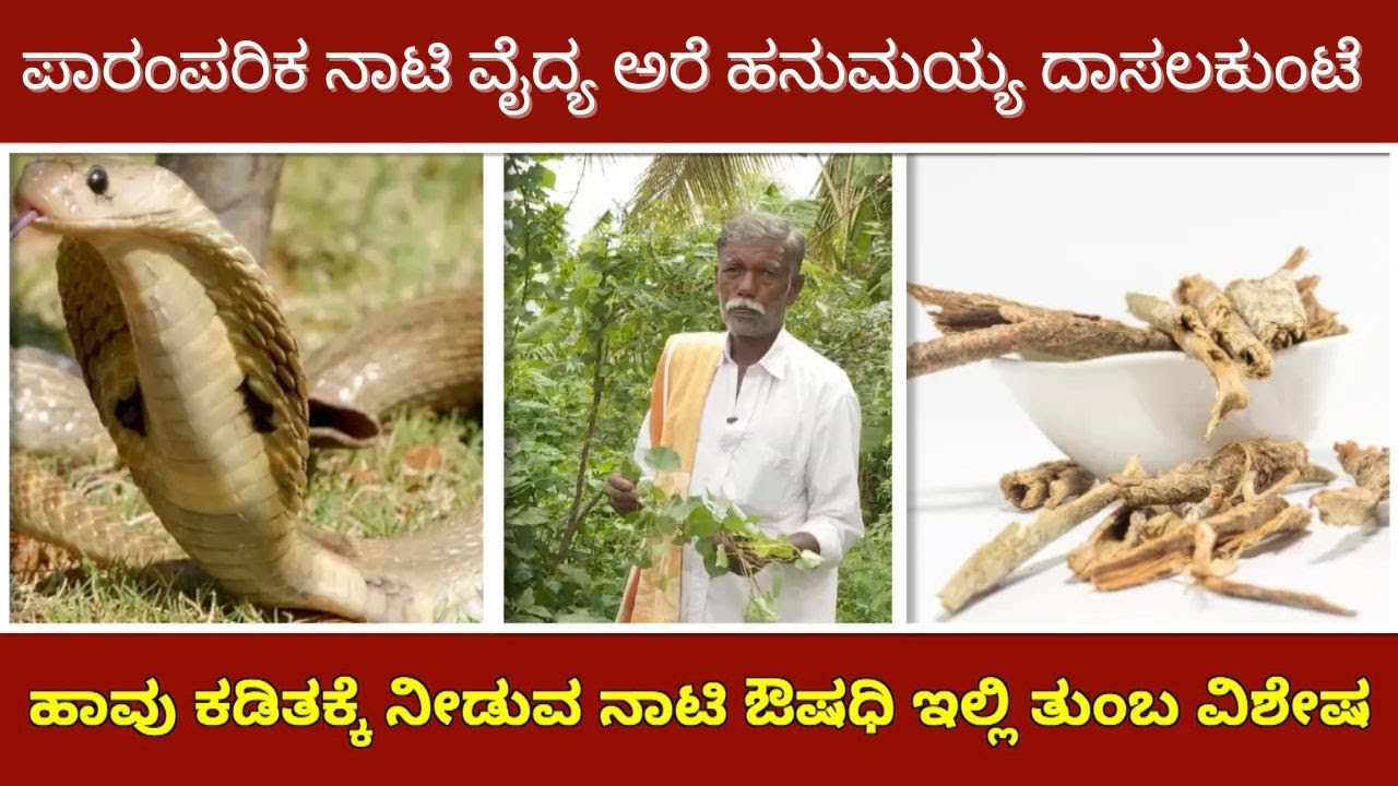 ಪಾರಂಪರಿಕ ನಾಟಿ ವೈದ್ಯ ಅರೆ ಹನುಮಯ್ಯ ದಾಸಲಕುಂಟೆ..! #naativaidya