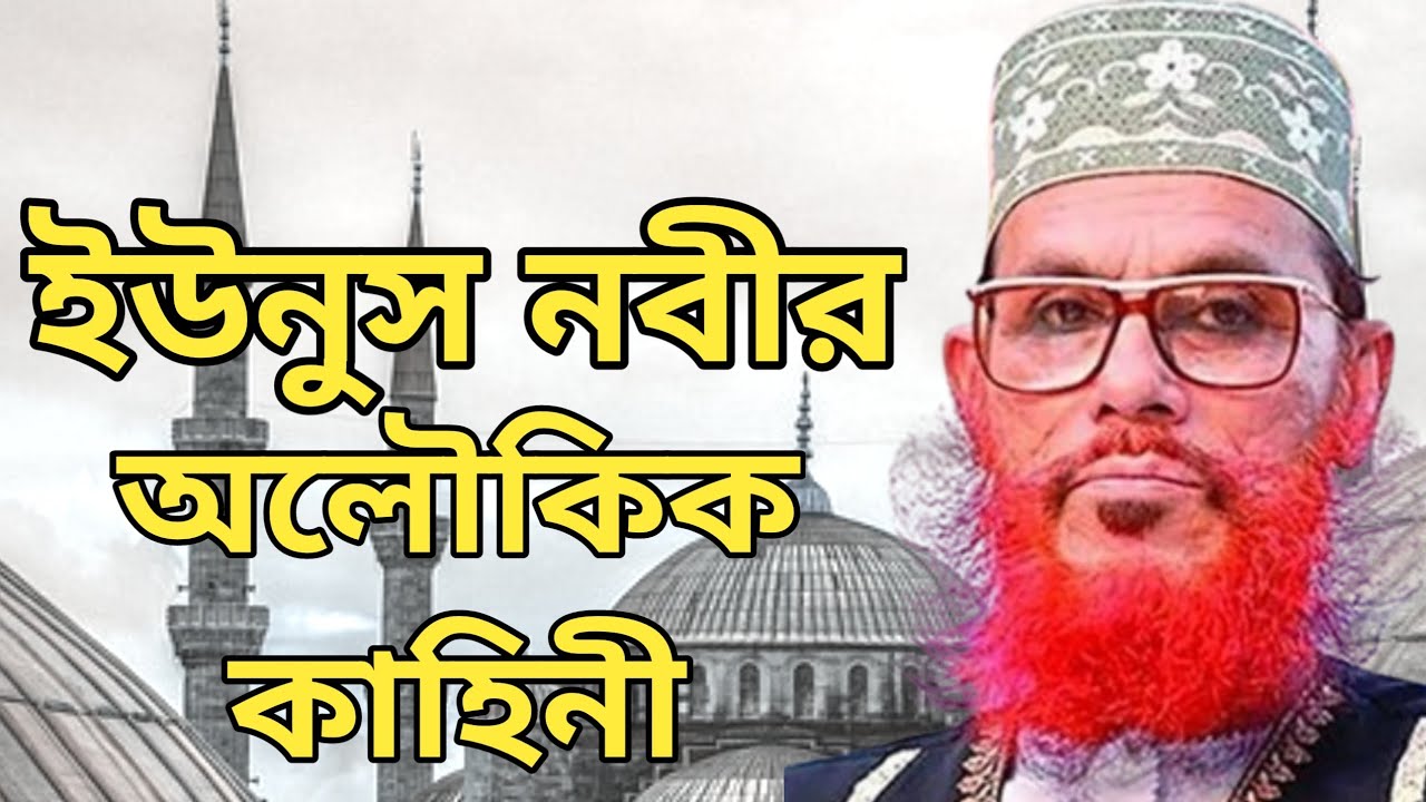 ইউনুস (আঃ) এর মুক্ত হওয়ার অলৌকিক কাহিনী | Allama Delwar Hossain Saidi | bangla waz