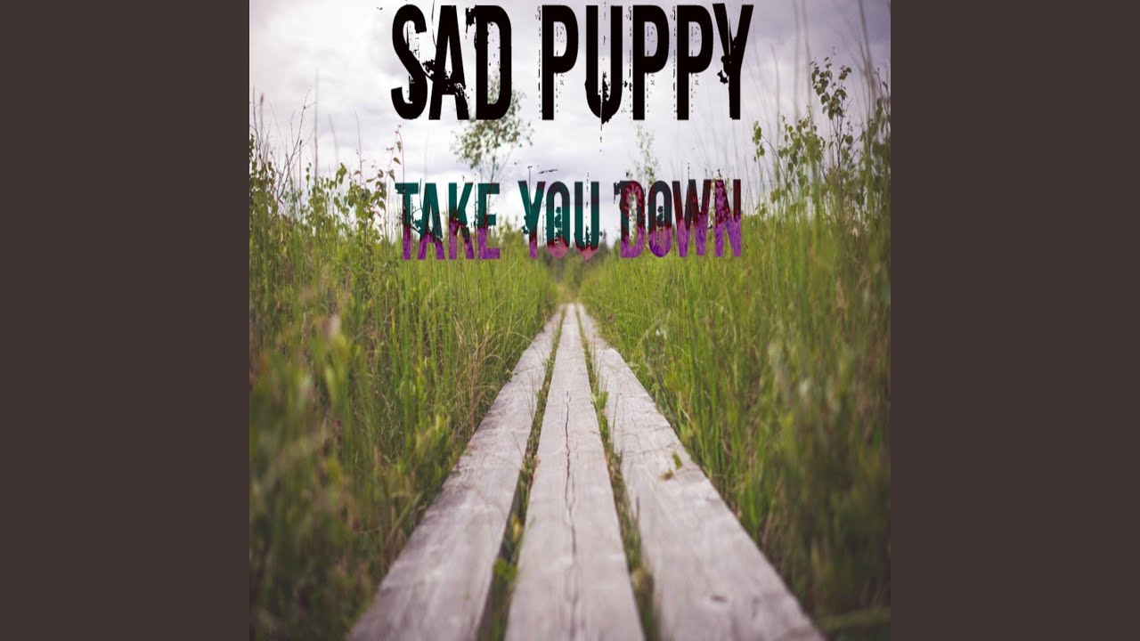 Take You Down (Radio Edit)