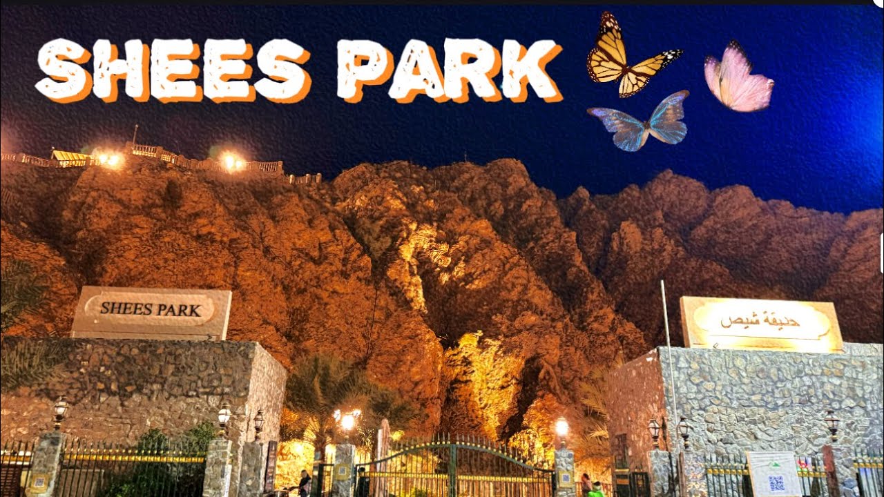 Shees Park 🎡| Aisha became @WhyManOfficial | No Camping🚫| Long Drive 🚘 | BBQ🍖| Dubai Trail Vlog😍