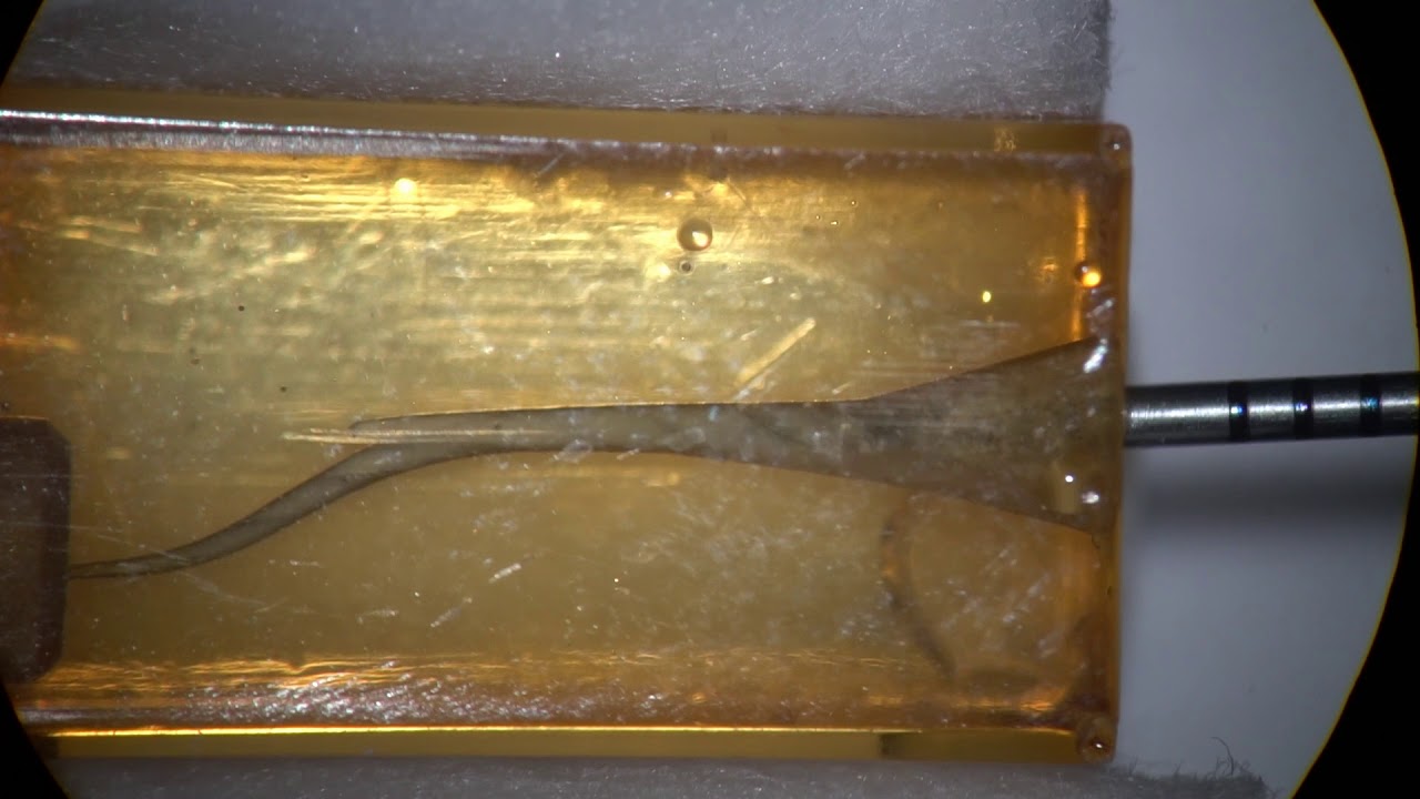 AF CL file to bypass a ledge