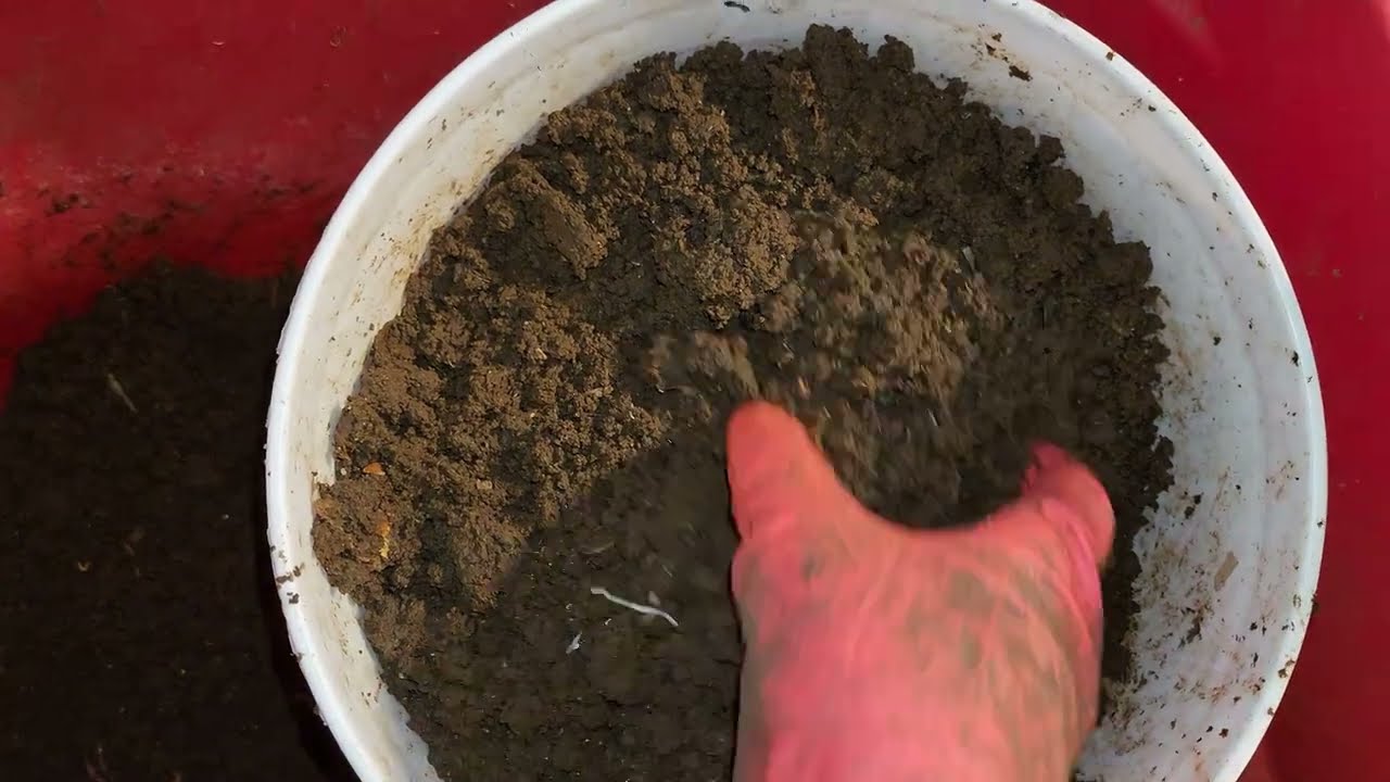 Mixed Worm  Bin 3 Partial Harvest, Check-In, & Feeding 30 Days Later 26 January 2026 #wormfarming