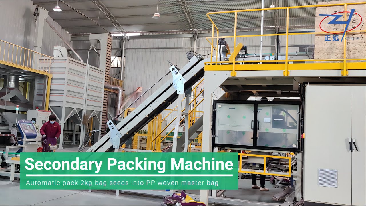 Bag in Bag Secondary Packing Machine | 1KG/2KG bag into PP Woven Master Bag