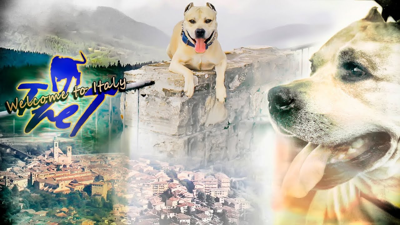 WELCOME TO ITALY TRET /// BENVENUTI IN ITALIA TRET (Bobbio PC, Cinque Terre, Italy)
