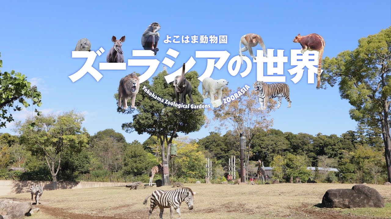 『よこはま動物園ズーラシアの世界』トレーラー・プロローグ ver.