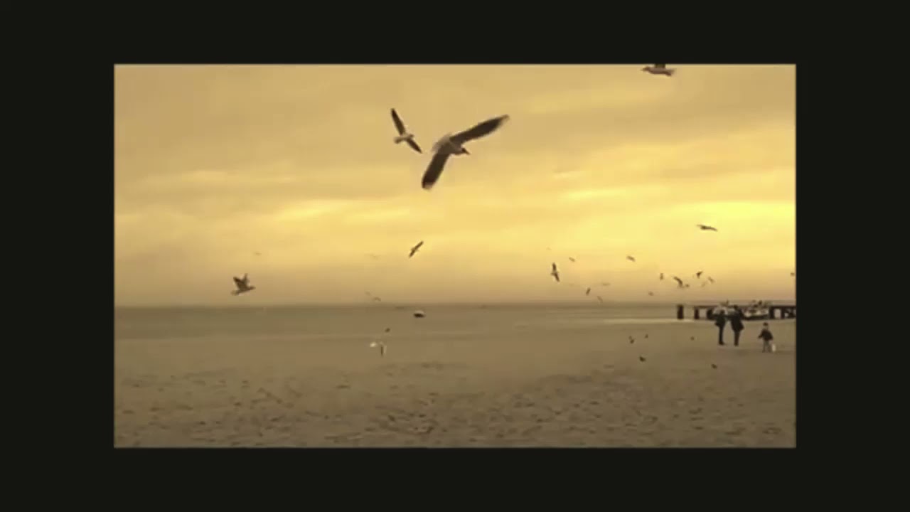 Menag Jamport Em (Yes Kez Tessa) - Djivan Gasparyan
