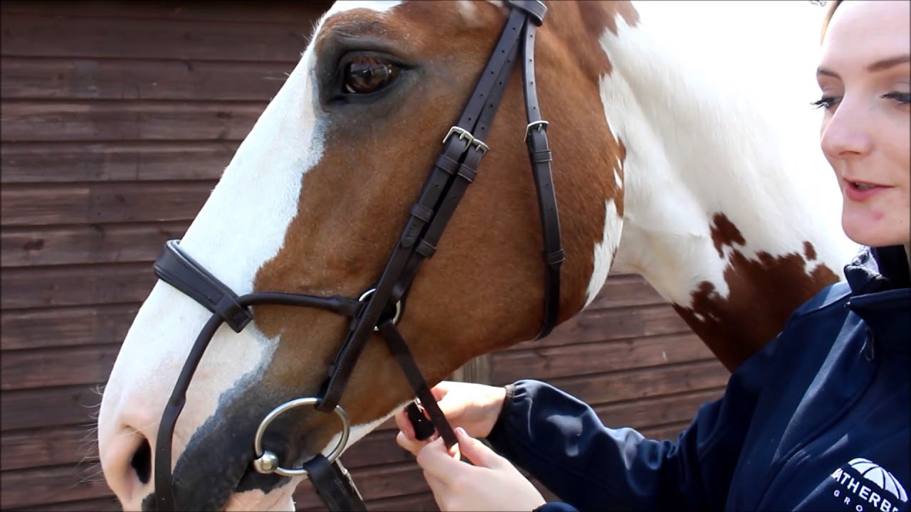 How to Fit a Collegiate ComFiTec Bridle | Collegiate UK