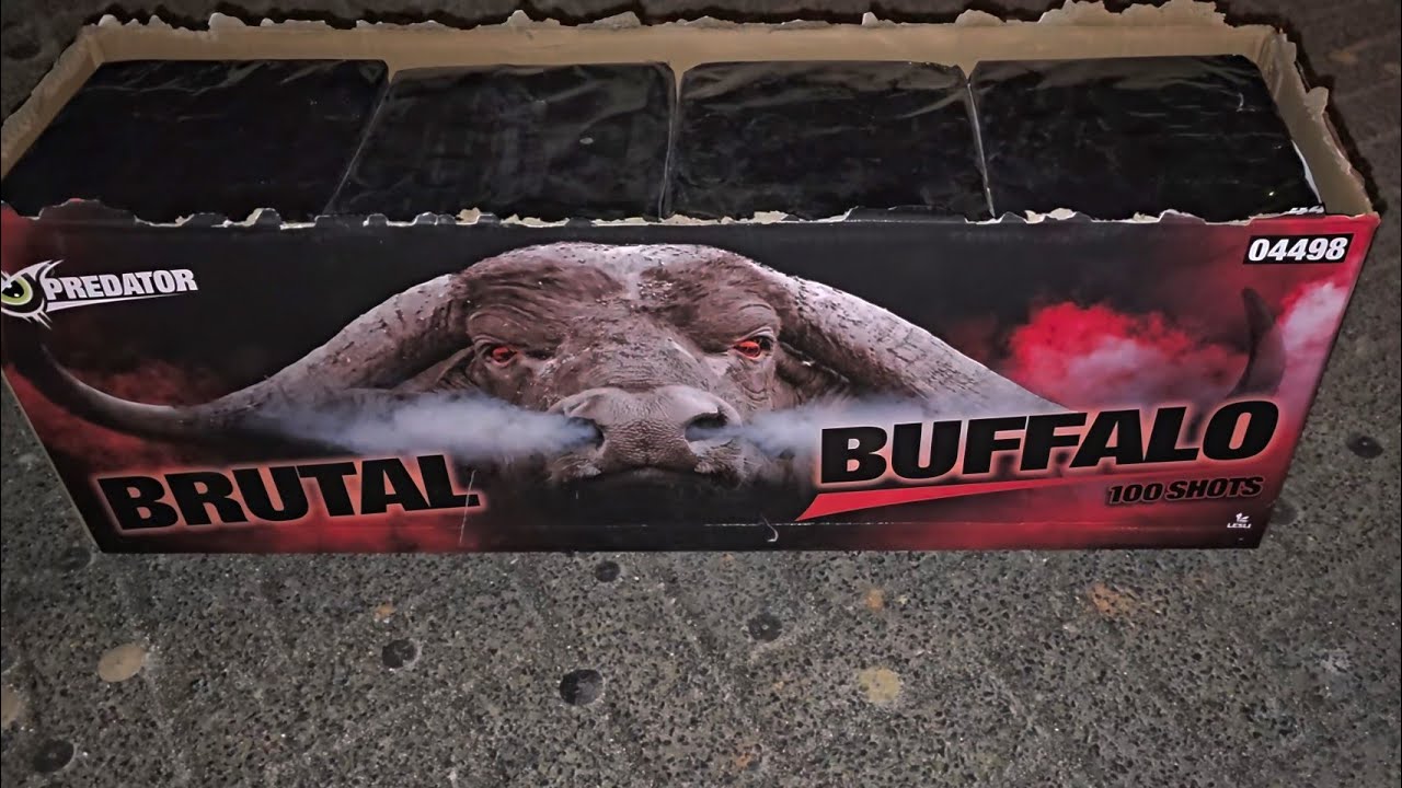 Brutal Buffalo - Lesli