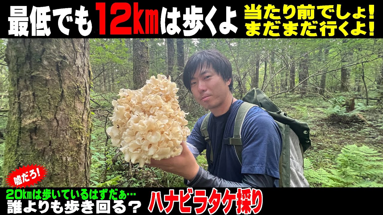 【きのこ狩り】ハナビラタケ狩り